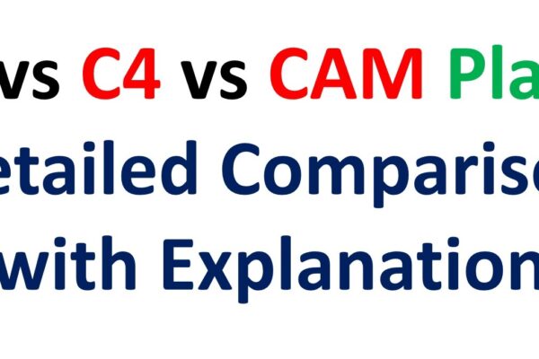 Difference Between C3, C4 and CAM Plants